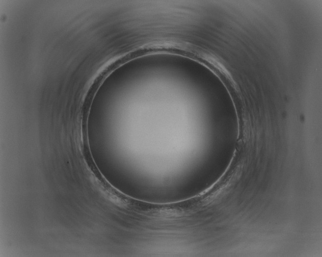 X0000074320984200608251256