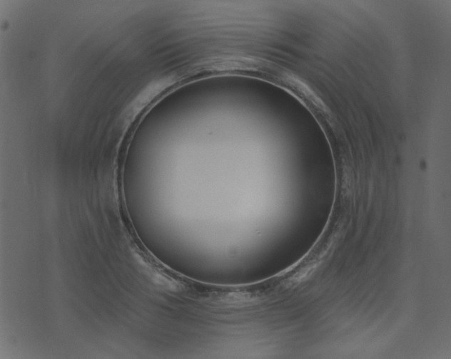 X0000074320986200608251256