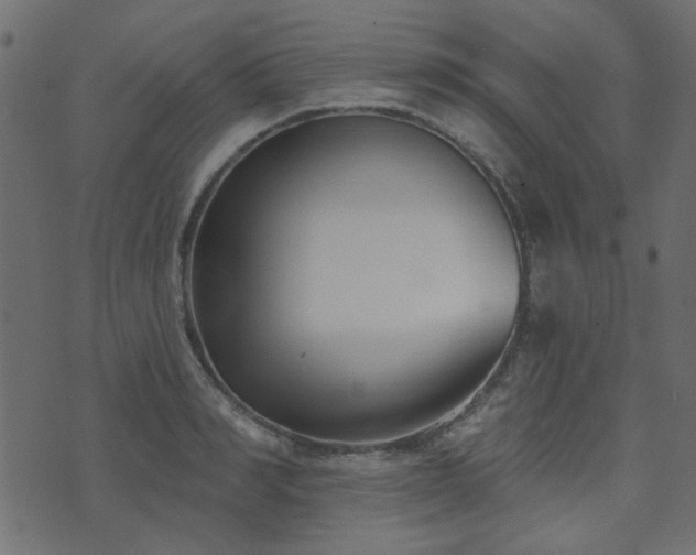 X0000074320990200608251256