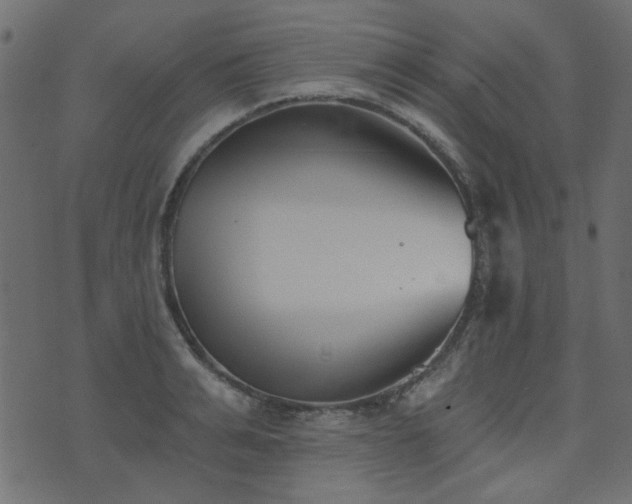 X0000074320991200608251256