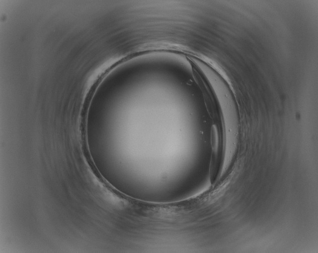 X0000074320995200608251256