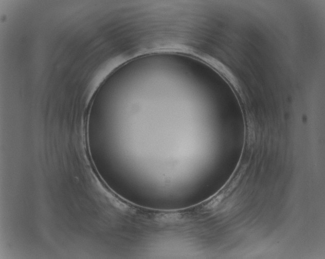 X0000074321006200608251256