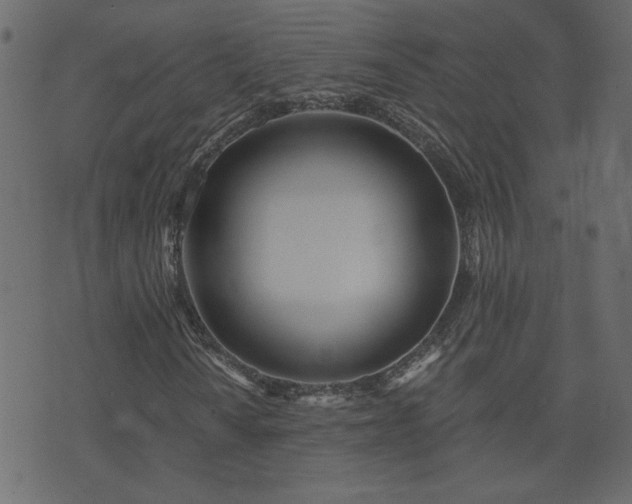 X0000074321010200608251255