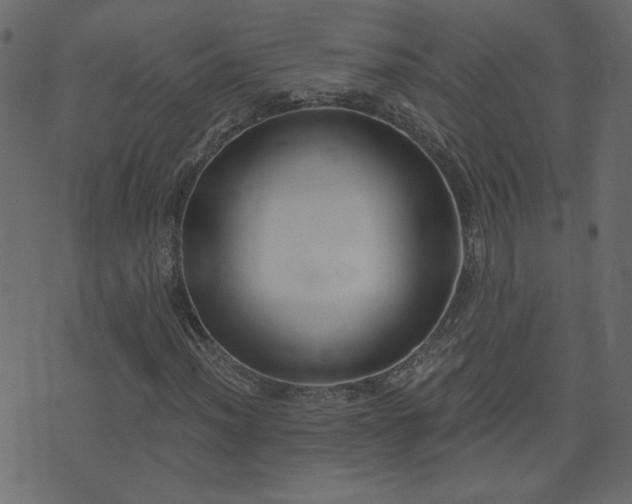 X0000074321012200608251255