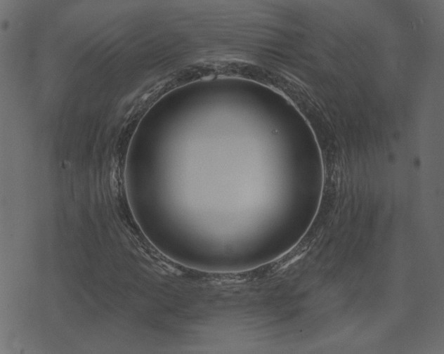X0000074321014200608251255