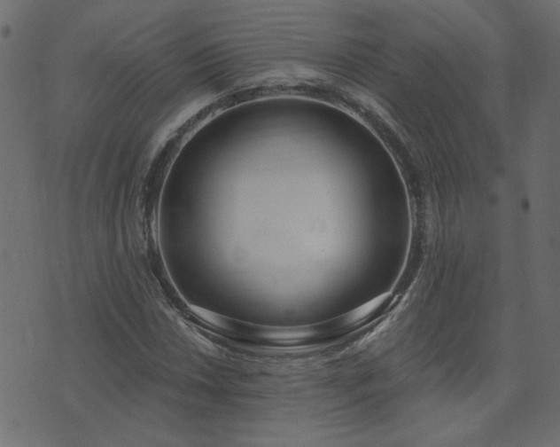 X0000074321018200608251255