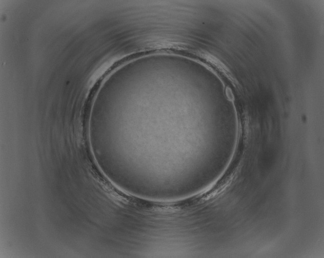 X0000074321023200608251255