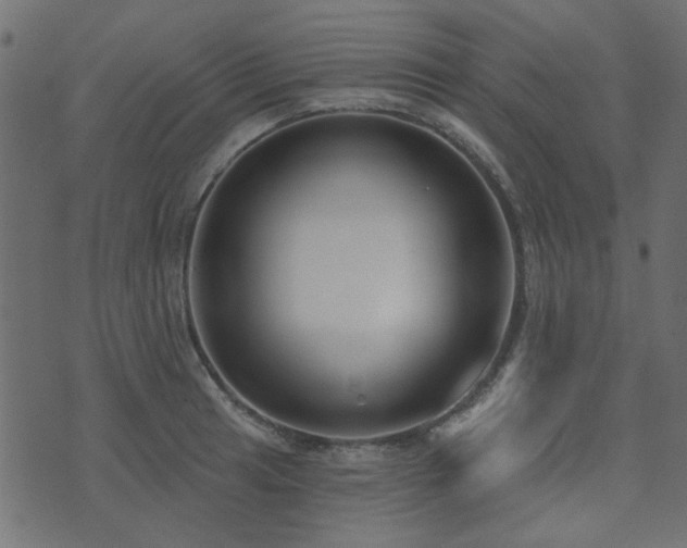 X0000074321041200608251256