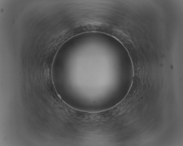 X0000074321061200608251255