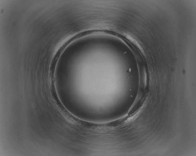 X0000074321077200608251255