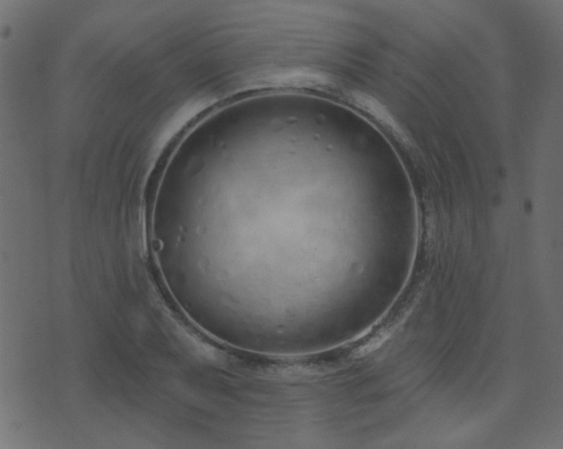 X0000074321079200608251255