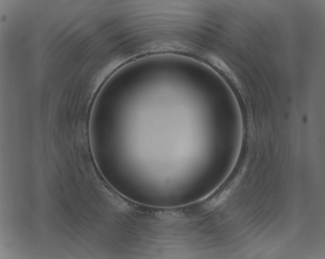 X0000074321089200608251255