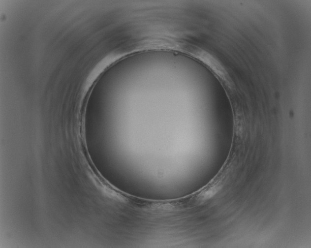 X0000074321094200608251254