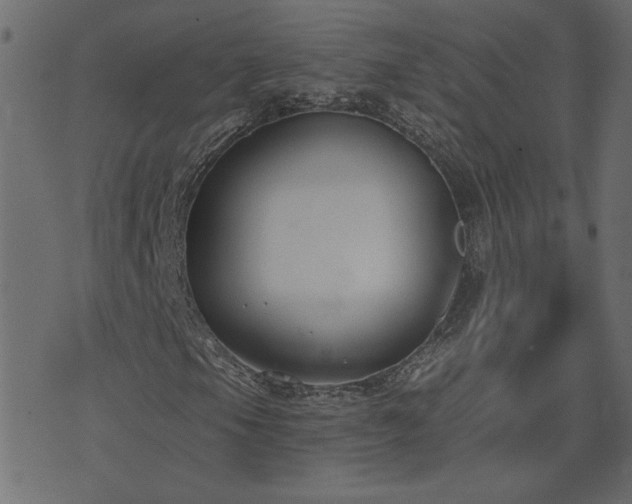 X0000074321105200608251254