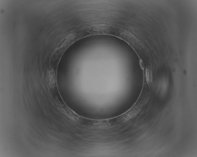 X0000074321107200608251254