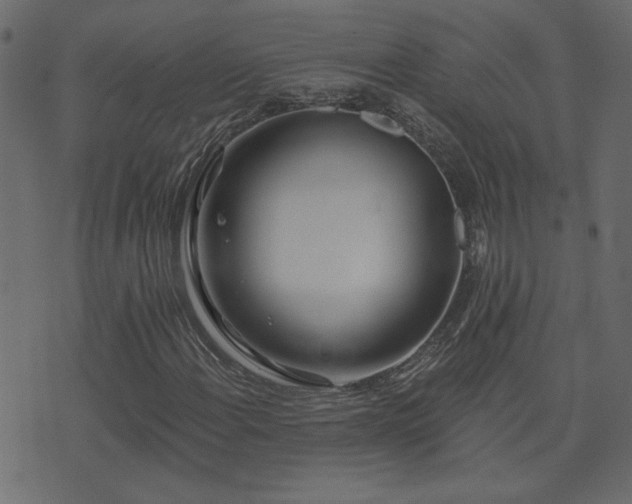 X0000074321108200608251254