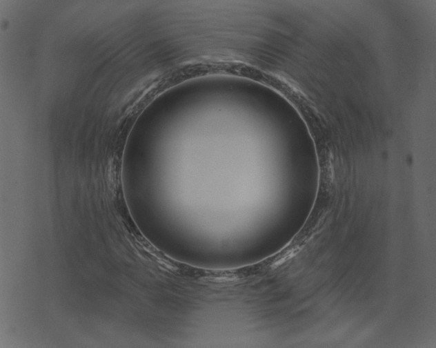 X0000074321110200608251254
