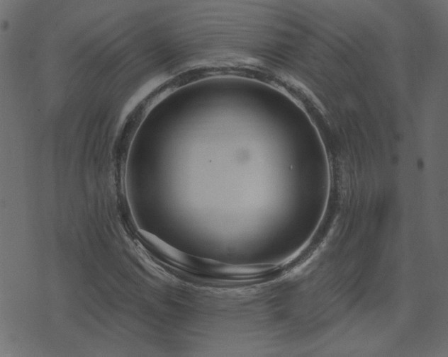 X0000074321114200608251254