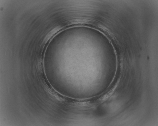 X0000074321121200608251254