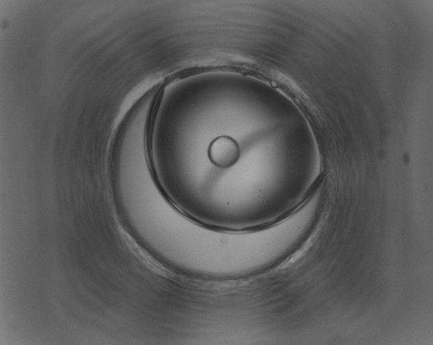 X0000074321122200608251254