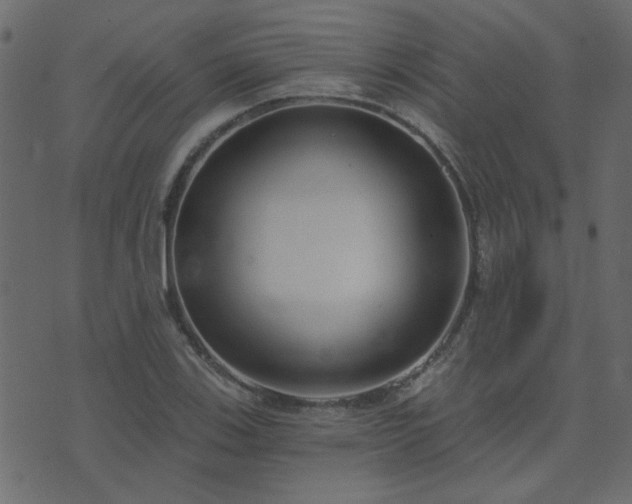 X0000074321123200608251254