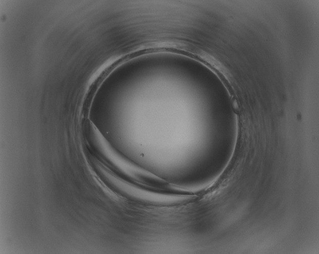 X0000074321127200608251254
