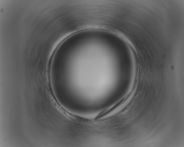 X0000074321148200608251254
