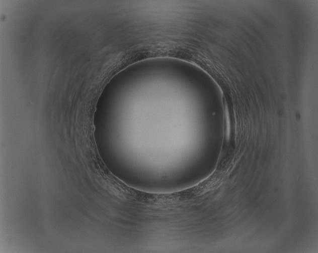 X0000074321153200608251253
