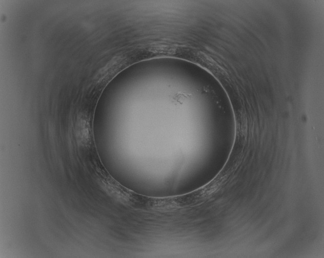X0000074321154200608251253