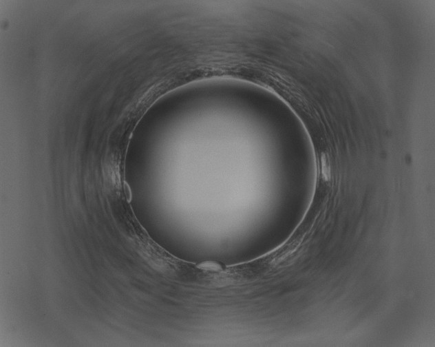 X0000074321155200608251253