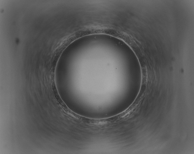 X0000074321157200608251253