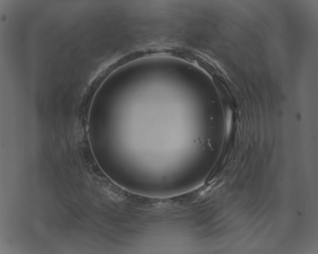 X0000074321160200608251253