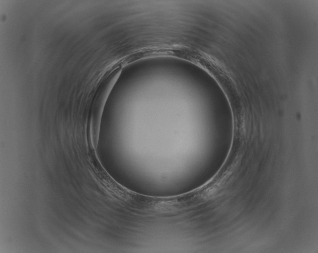 X0000074321161200608251253