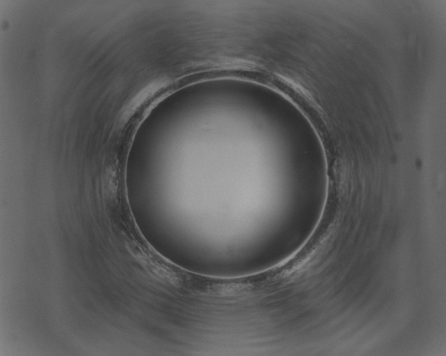 X0000074321163200608251253