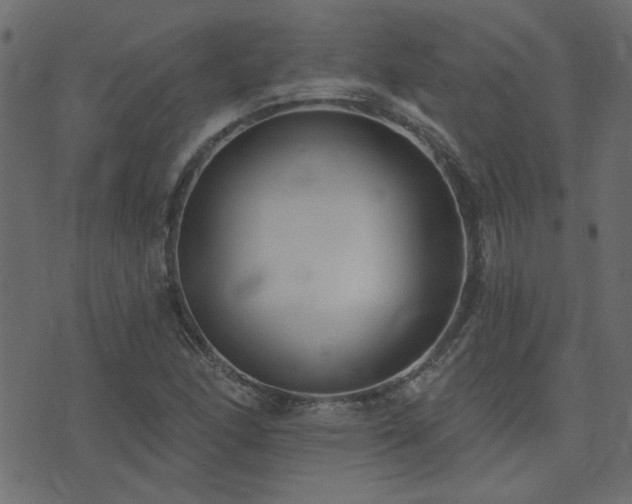X0000074321166200608251253