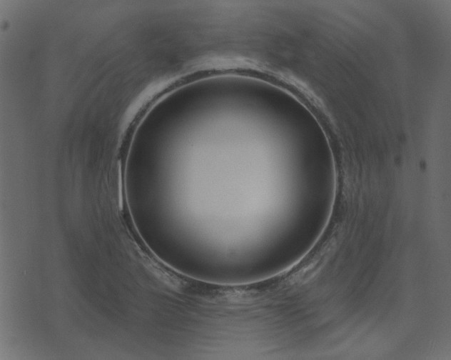 X0000074321175200608251253