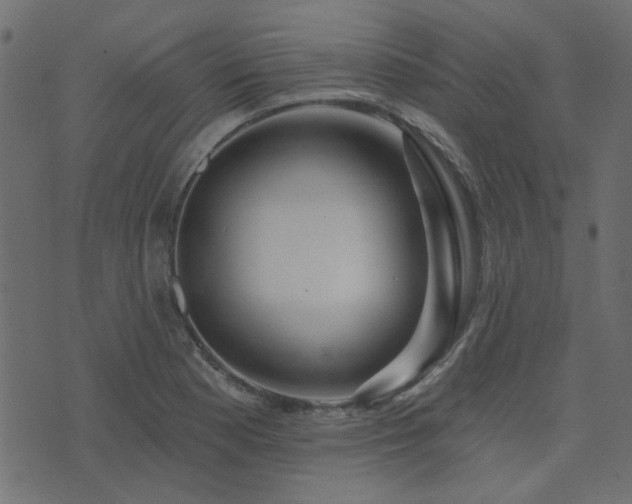 X0000074321177200608251253