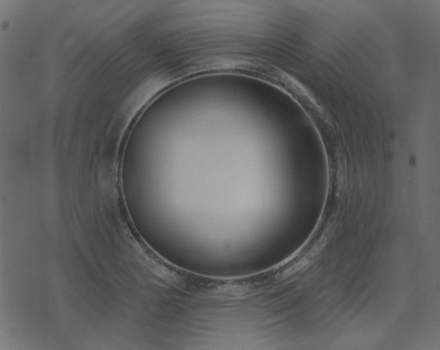 X0000074321178200608251253