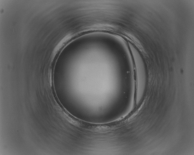 X0000074321180200608251253