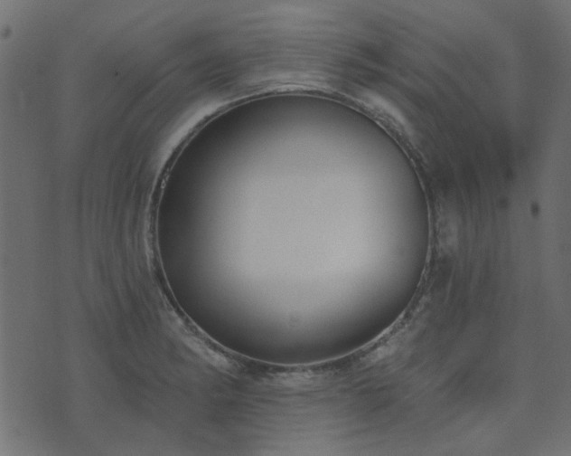 X0000074321182200608251253