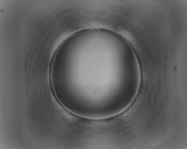 X0000074321183200608251253