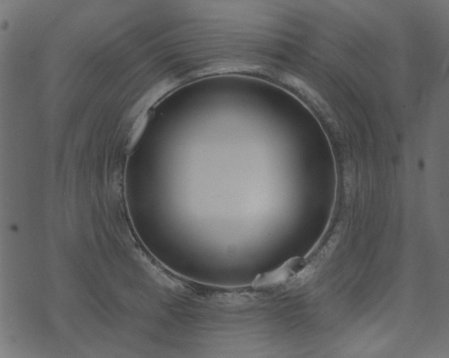 X0000074321185200608251253