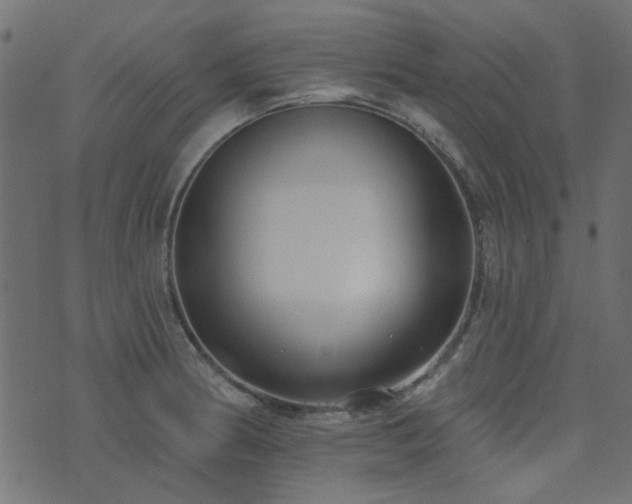 X0000074321186200608251253