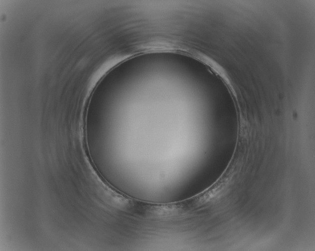 X0000074321195200608251253