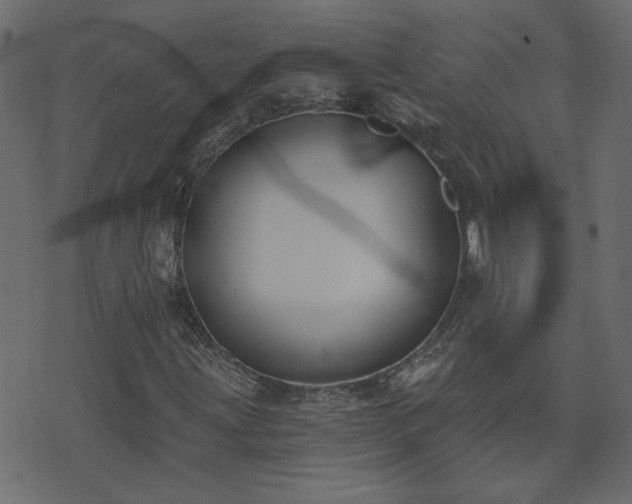 X0000074321203200608251252