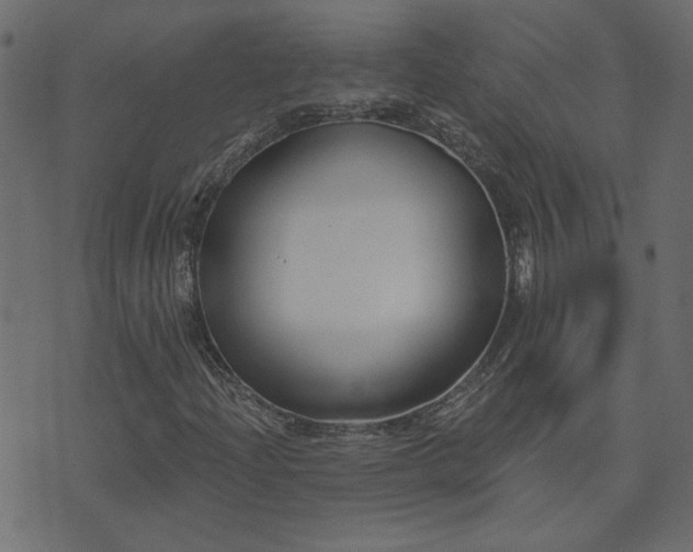 X0000074321204200608251252
