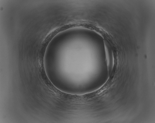 X0000074321206200608251252