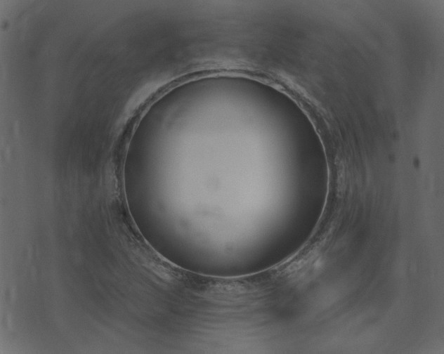 X0000074321215200608251252