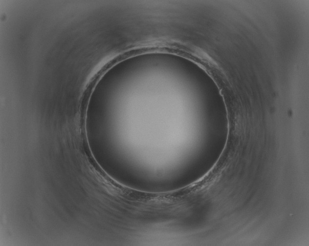 X0000074321216200608251252
