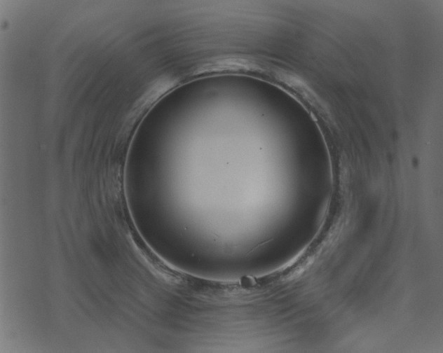 X0000074321233200608251252